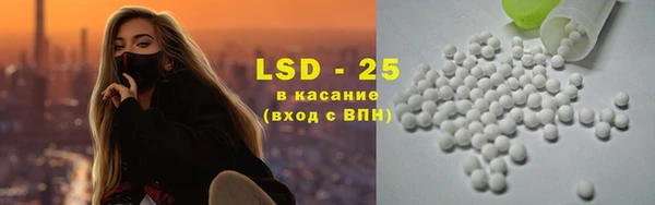 ECSTASY Богородицк